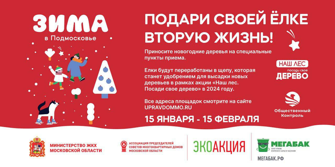 В акции «Подари вторую жизнь своей елке!» ожидается участие рекордного количества жителей Московской области